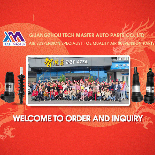중국 Guangzhou Tech Master Auto Parts Co.Ltd 