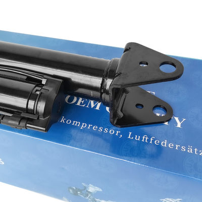 2513202231 조정 가능한 메르세데스-벤츠 에어 서스펜션 W251/R300 후면