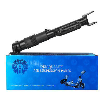 기압 충격 흡수 장치와 함께 공기 서스펜션 관리 시스템 Ben-Z W251/R300