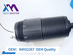 테크 마스터 캐딜락 에스컬레이드 타호 유콘 실버다도 후면 에어 쇼크