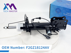 테크 마스터 링컨 MKX ADS F2GZ18124AV와 함께 왼쪽 전면 충격 흡수기